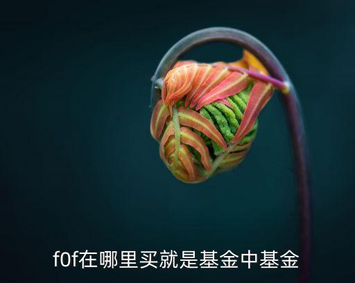 公募fof基金怎么買，f0f在哪里買就是基金中基金