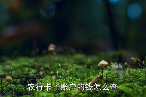 農(nóng)行卡子賬戶的錢怎么查