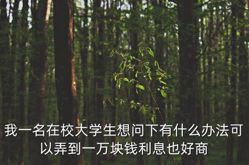 我一名在校大學(xué)生想問下有什么辦法可以弄到一萬塊錢利息也好商