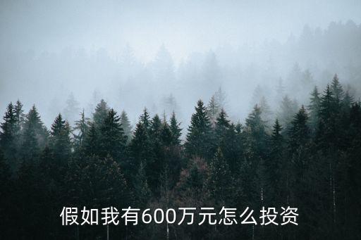 假如我有600萬元怎么投資