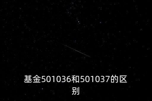 501036基金怎么回事，511620貨幣基金是怎么回事