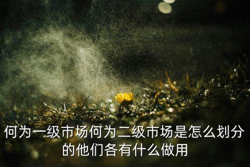 一級市場怎么樣，股票是怎么盈利的
