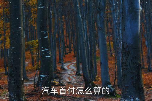 汽車首付怎么算的