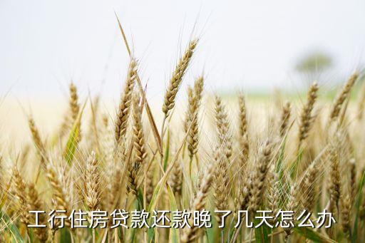 工行住房貸款還款晚了幾天怎么辦