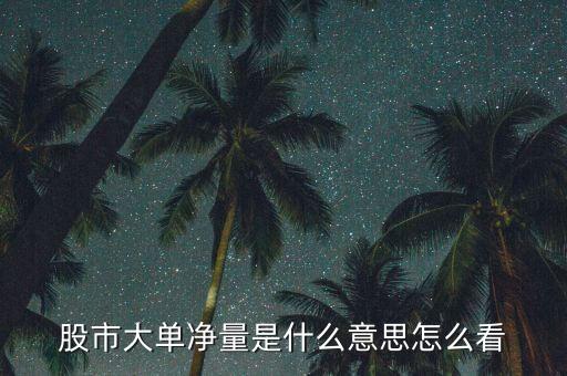 股市大單凈量是什么意思怎么看