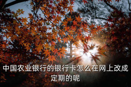 中國農業(yè)銀行的銀行卡怎么在網上改成定期的呢
