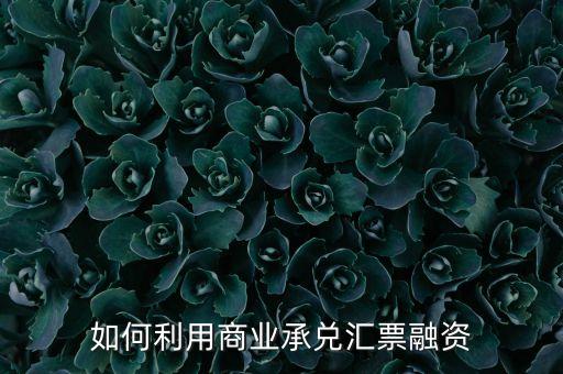銀行承兌匯票怎么貸款，商業(yè)承兌匯票如何融資