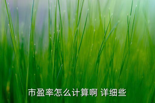 怎么計(jì)算股票市盈率，市盈率怎么計(jì)算啊 詳細(xì)些