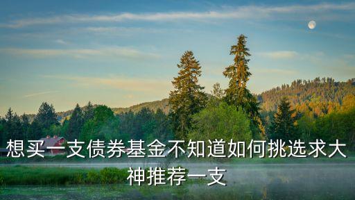 永贏雙利債券怎么樣，想買一支債券基金不知道如何挑選求大神推薦一支
