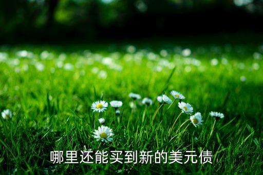 哪里還能買到新的美元債