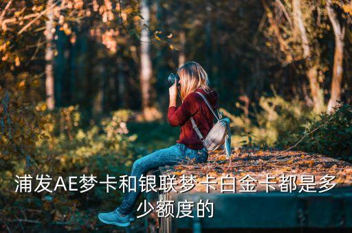 浦發(fā)AE夢卡和銀聯(lián)夢卡白金卡都是多少額度的