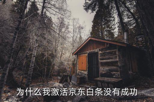 激活白條怎么老是失敗原因，京東白條為什么一直是激活失敗啊年齡手機號 銀行卡都沒問題
