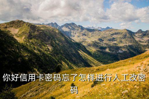 信用卡密碼重置怎么辦，信用卡忘記密碼了怎么辦