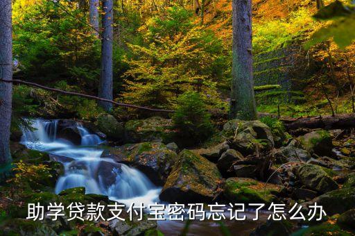 助學(xué)貸款的支付寶登陸密碼怎么辦，助學(xué)貸款支付寶密碼忘記了怎么辦