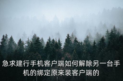 急求建行手機(jī)客戶端如何解除另一臺(tái)手機(jī)的綁定原來(lái)裝客戶端的