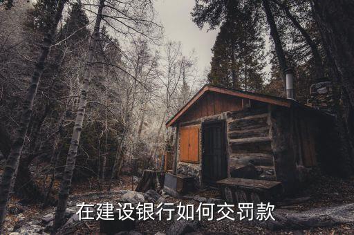 在建行怎么交違章罰款嗎，在建設(shè)銀行如何交罰款