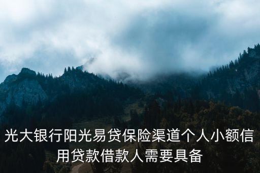 光大銀行陽光易貸保險渠道個人小額信用貸款借款人需要具備