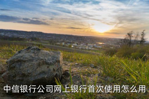 中信銀行公司網上銀行首次使用怎么用