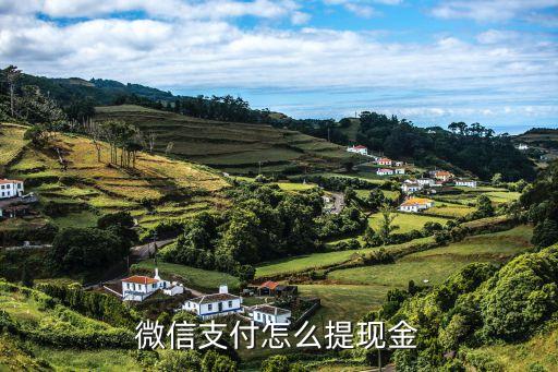 信e付的錢怎么提現(xiàn)，微信支付怎么提現(xiàn)金