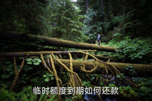 臨時額度怎么還還多少，招商銀行信用卡固定額度16000臨時額度36000如果把臨時額度也消費