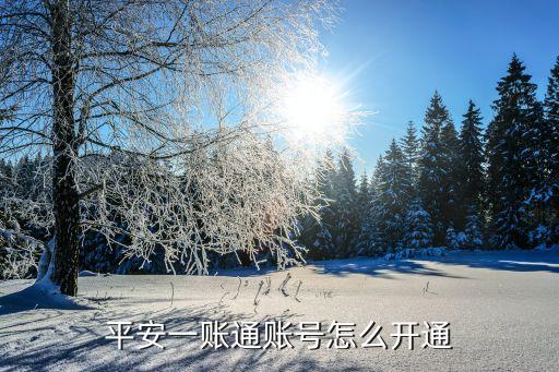 平安通怎么注冊不了怎么回事，請問怎么才能注冊平安一賬通啊急
