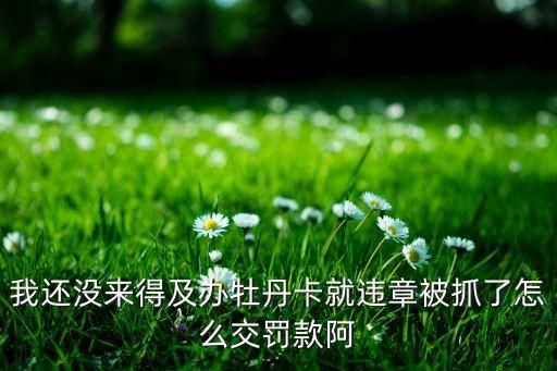 我還沒來得及辦牡丹卡就違章被抓了怎么交罰款阿