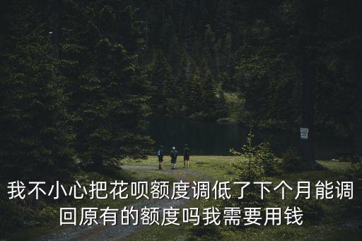 我不小心把花唄額度調(diào)低了下個(gè)月能調(diào)回原有的額度嗎我需要用錢