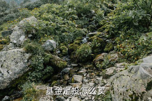 定開基金怎么買，如何買基金定投