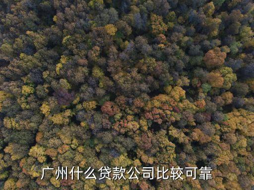 廣州微6信貸公司怎么樣，廣州有那間貸款公司做得比較好