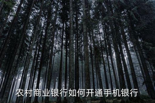 農(nóng)村商業(yè)銀行如何開通手機銀行