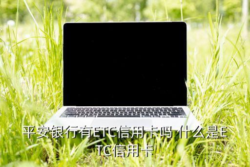 平安車主卡etc怎么用，沒有微信怎么使用平安車主服務(wù)卡
