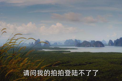 拍分期網(wǎng)頁版登陸不了怎么辦，請問我的拍拍登陸不了了
