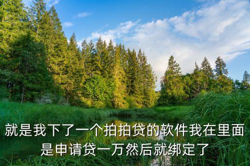 就是我下了一個(gè)拍拍貸的軟件我在里面是申請(qǐng)貸一萬(wàn)然后就綁定了