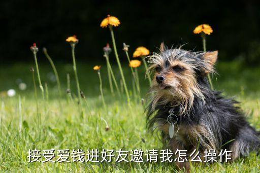 微信怎么操作愛錢進，接受愛錢進好友邀請我怎么操作
