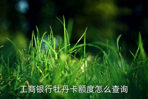 怎么看牡丹卡額度多少，怎樣查詢牡丹普卡的額度
