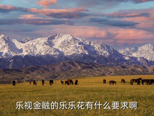 樂視金融的樂樂花有什么要求啊