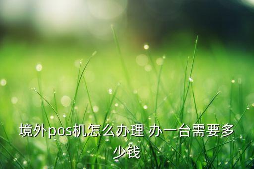在國外pos機(jī)怎么辦理，境外pos機(jī)怎么辦理 辦一臺需要多少錢