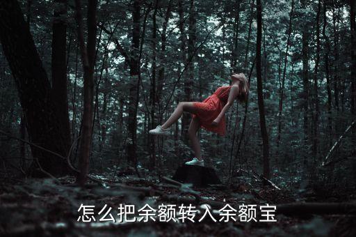 怎么把余額轉(zhuǎn)入余額寶