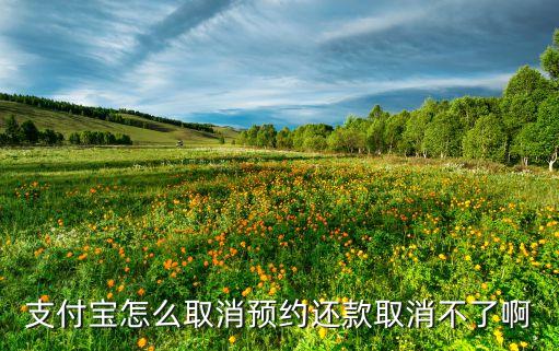支付寶怎么取消預(yù)約還款取消不了啊