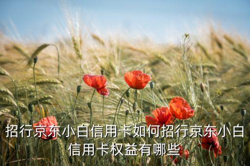 招行京東小白信用卡如何招行京東小白信用卡權(quán)益有哪些