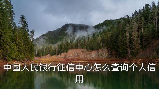 個人信譽怎么查詢官網(wǎng)，個人信用怎么查