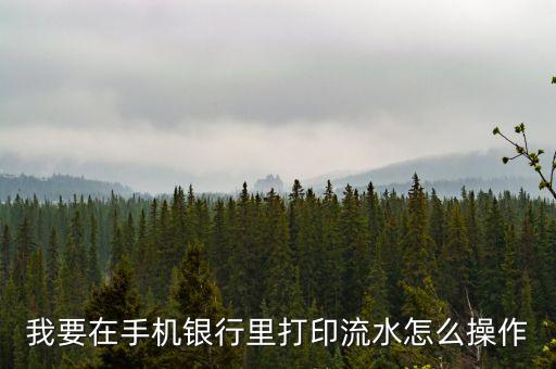 流水怎么打印，銀行流水怎么打
