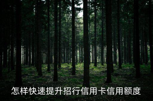 怎樣快速提升招行信用卡信用額度