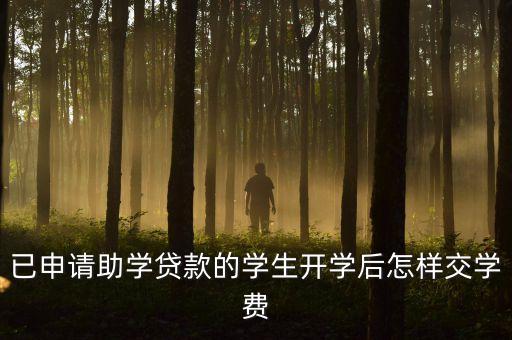 貸款讀書怎么交學(xué)費(fèi)，貸款完成后學(xué)費(fèi)是通過(guò)什么方式交的