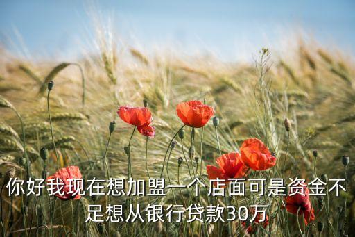 我想貸30萬(wàn)開店怎么貸，我是農(nóng)村的我想貸款30萬(wàn)元開店但我沒有房屋抵押請(qǐng)問有什么辦法