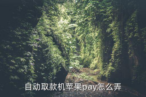 蘋果pay怎么無卡取款，apple Pay借記卡可以無卡取款嗎