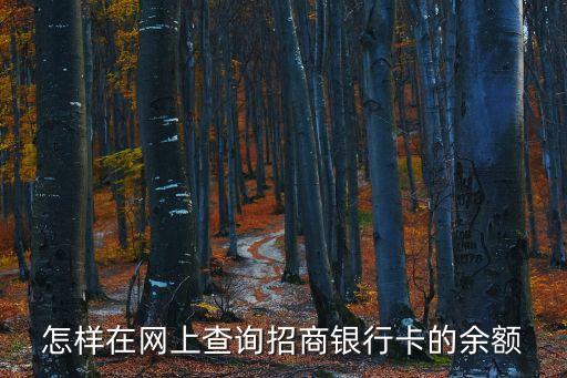 怎樣在網(wǎng)上查詢招商銀行卡的余額