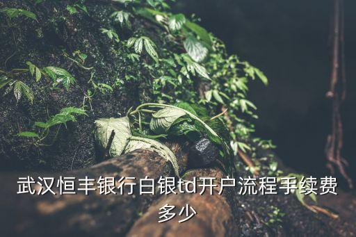 武漢恒豐銀行白銀td開戶流程手續(xù)費多少
