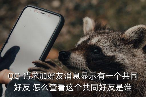 QQ 請求加好友消息顯示有一個(gè)共同好友 怎么查看這個(gè)共同好友是誰