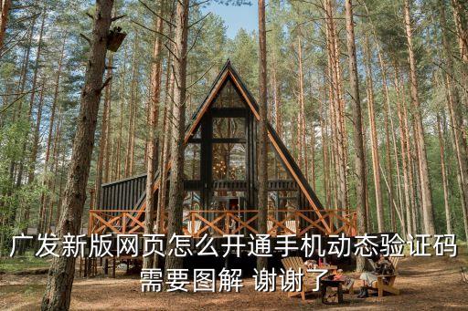 廣發(fā)aqq怎么掃一掃，廣發(fā)新版網(wǎng)頁怎么開通手機(jī)動(dòng)態(tài)驗(yàn)證碼需要圖解 謝謝了